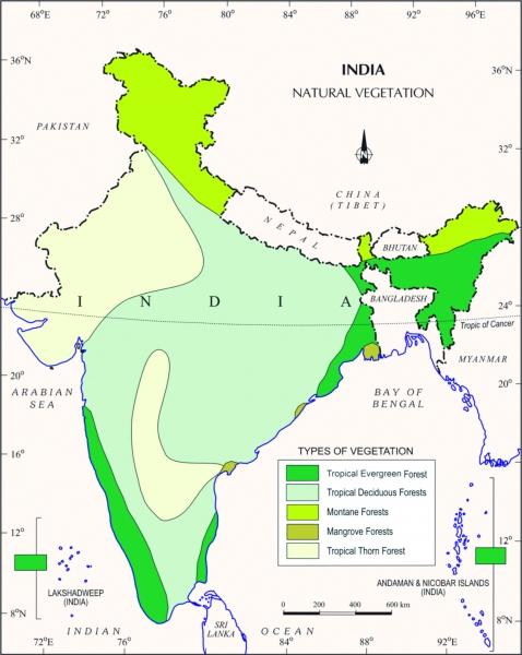 Mangrove forest in India map - Map of mangrove forest in India ...