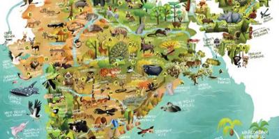 India wildlife map